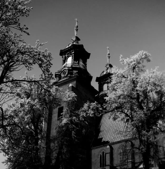 Archikatedra gnieźnieńska w czarno-białej tonacji, z dwiema barokowymi wieżami wśród gałęzi drzew