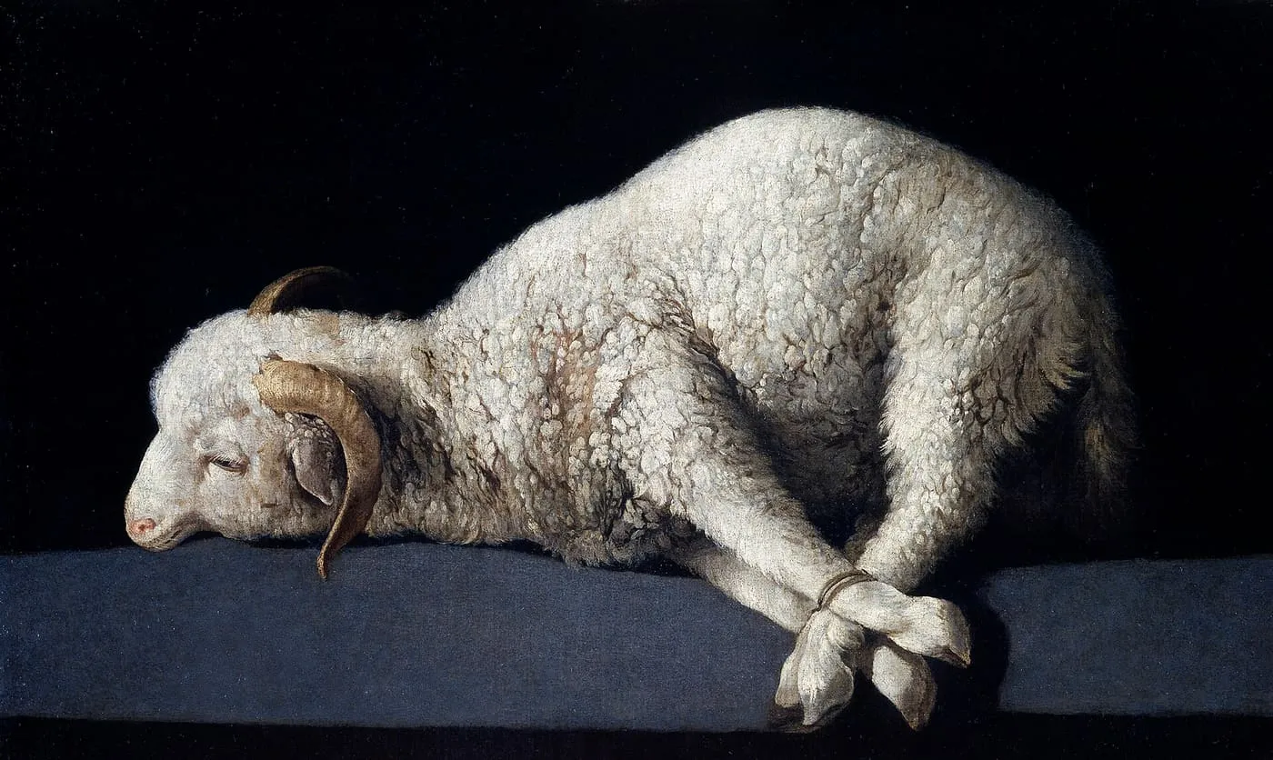 Związany baranek leżący na ciemnym stole — „Agnus Dei” Francisca de Zurbarána z lat 1635–1640