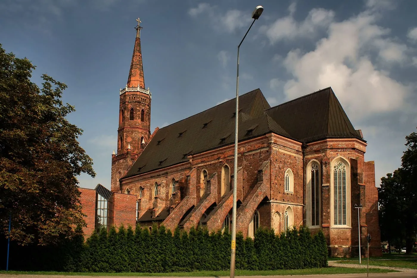 Ceglana, gotycka kolegiata w Głogowie z wieżą i widocznymi śladami powojennej odbudowy