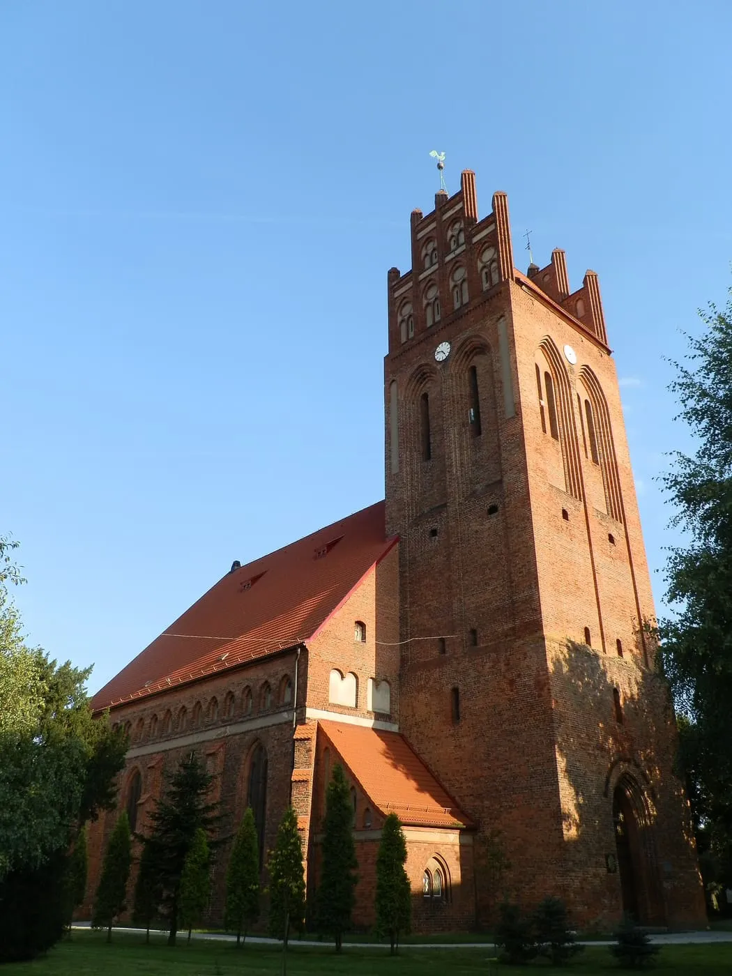 Masywna, ceglana wieża gotyckiego kościoła św. Jakuba w Lęborku ze schodkowym zwieńczeniem, zegarami i kurkiem na szczycie, obok nawa z czerwonym dachem, wśród drzew