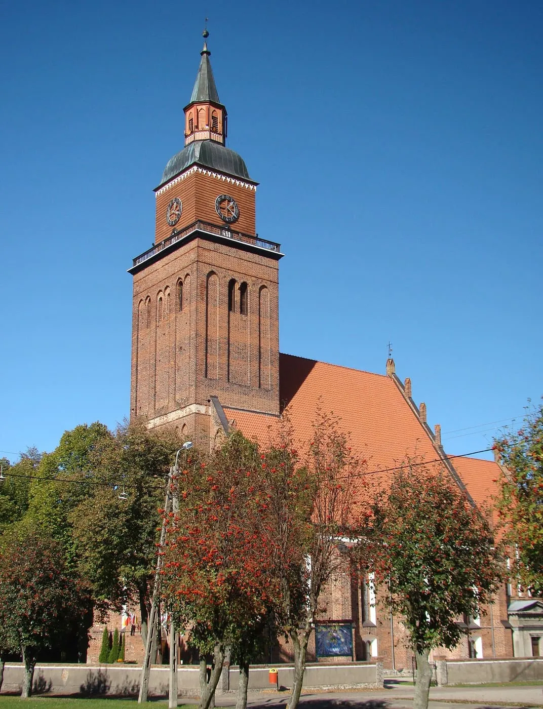 Ceglany, gotycki kościół z wysoką wieżą z zegarami, drewnianą nadbudówką i ciemnym hełmem z iglicą, widziany zza drzew z czerwonymi owocami jarzębiny, na tle intensywnie błękitnego nieba
