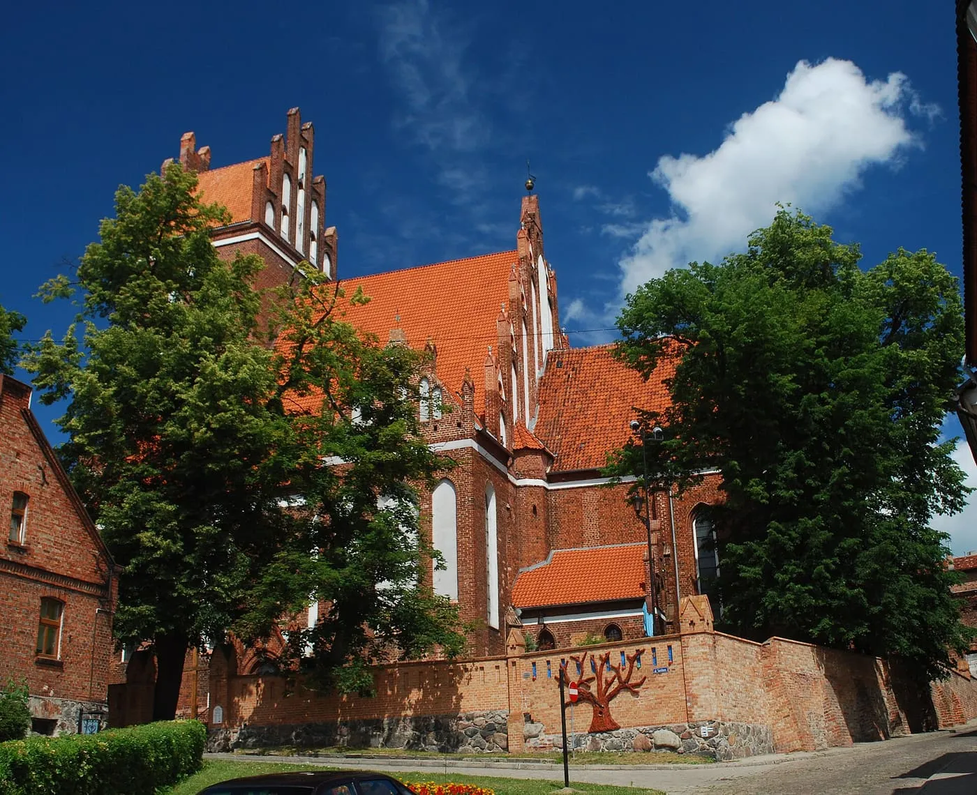 Gotycki, ceglany kościół św. Mikołaja w Gniewie ze schodkowymi szczytami i czerwonym dachem, za ceglanym murem z płaskorzeźbą drzewa, częściowo przesłonięty lipami