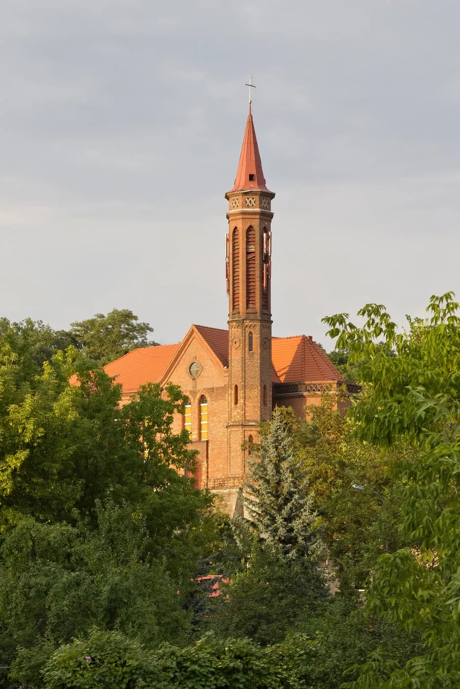 Smukła, ceglana wieża kościoła Trójcy Świętej w Gubinie z czerwoną, iglicową sygnaturką, wznosząca się nad koronami drzew